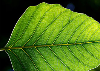 ddos压力测试平台